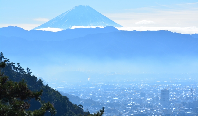 山梨 フルーツ 大国 果実 たっぷり カッサータ